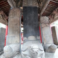 評論圖片 7