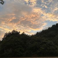 評論圖片 4