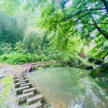 評論圖片 9