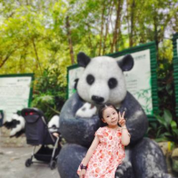 評論圖片 6