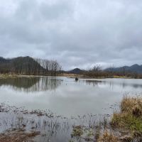 評論圖片 4