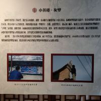 評論圖片 6