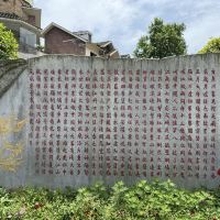 評論圖片 2
