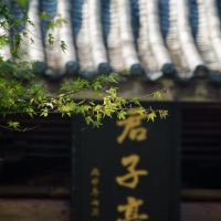 評論圖片 8
