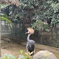 評論圖片 6