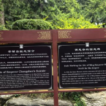 評論圖片 7