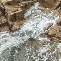 評論圖片 4