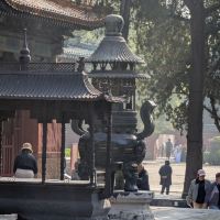 評論圖片 5