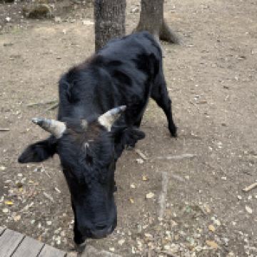 評論圖片 3