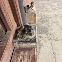 評論圖片 6