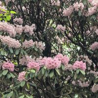評論圖片 9