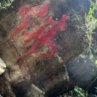 評論圖片 6