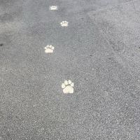 評論圖片 2