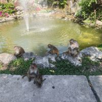 評論圖片 4