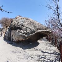 評論圖片 4