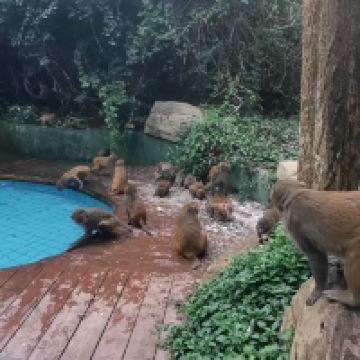 評論圖片 3