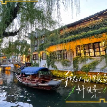 評論圖片 8