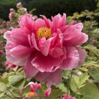 評論圖片 8