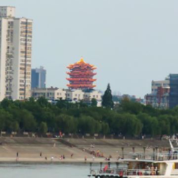 評論圖片 2