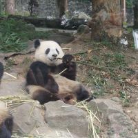 評論圖片 8