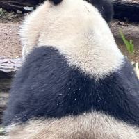 評論圖片 6