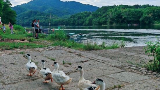 景色還不錯，住在民宿，出門就是景區入口了，民宿老闆娘很和善，