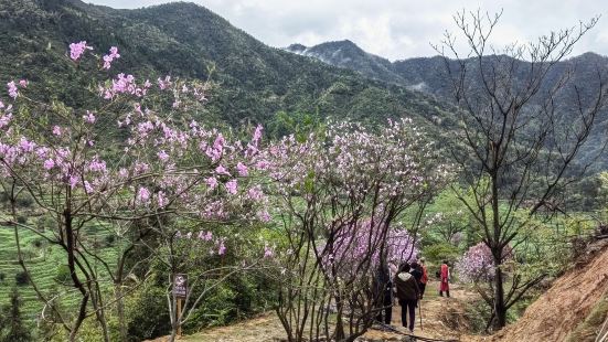 保存比較完好的一座古城，歷史建築遺迹頗多，一座古城一定是歷史