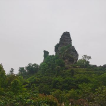 評論圖片 1