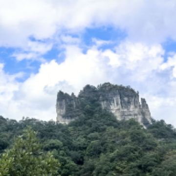 評論圖片 3