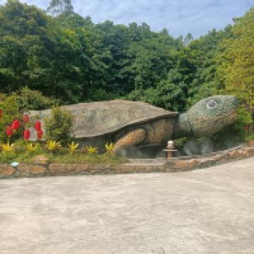 評論圖片 1