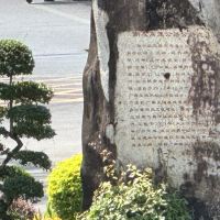 評論圖片 2