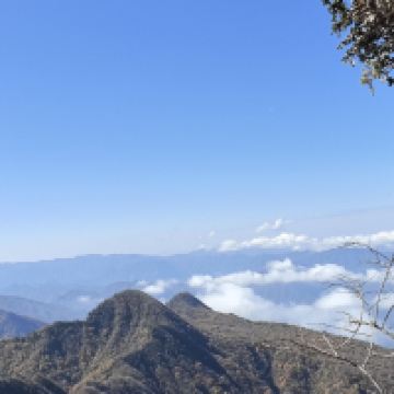 評論圖片 4