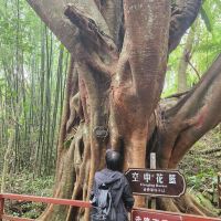 評論圖片 5