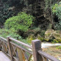 評論圖片 6