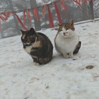 評論圖片 1