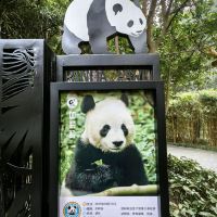 評論圖片 6