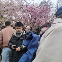 評論圖片 2