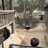 評論圖片 4