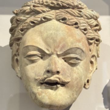 評論圖片 6