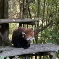 評論圖片 5