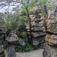 評論圖片 3
