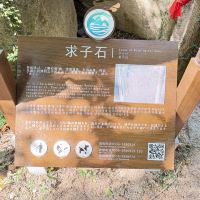 評論圖片 6