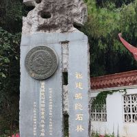 評論圖片 1