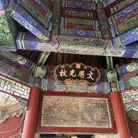 評論圖片 7