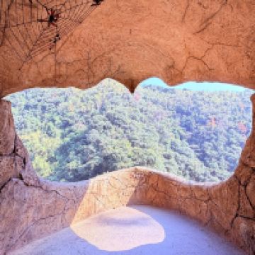 評論圖片 6