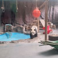 評論圖片 2