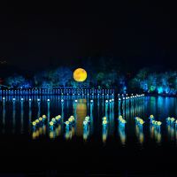 評論圖片 6