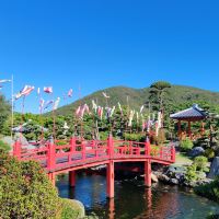 評論圖片 7