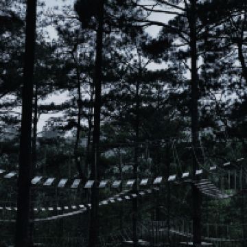 評論圖片 2
