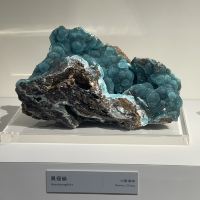 評論圖片 4
